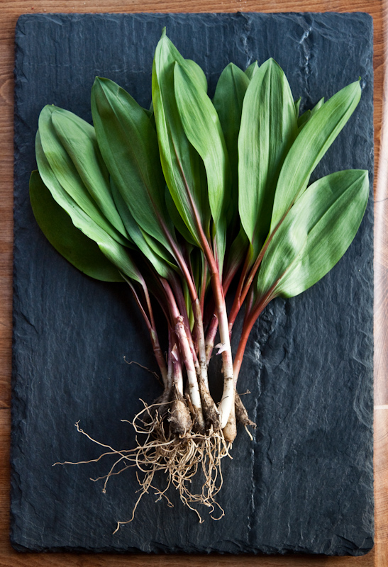 Ramps - Photo by Diana Pappas